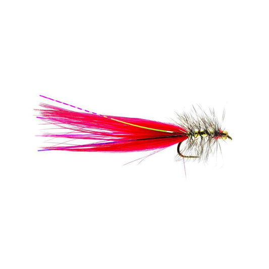 Red Dancer-Gamefish