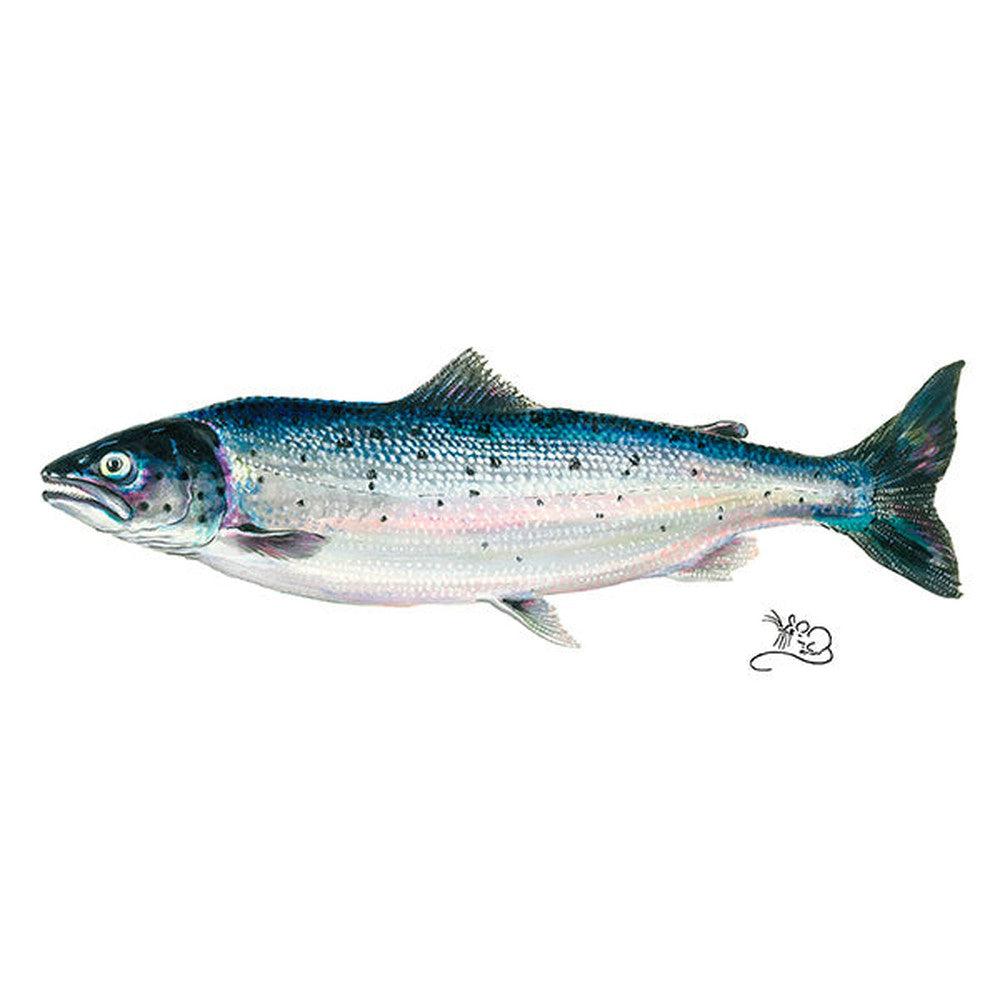 Salmon Card-Gamefish