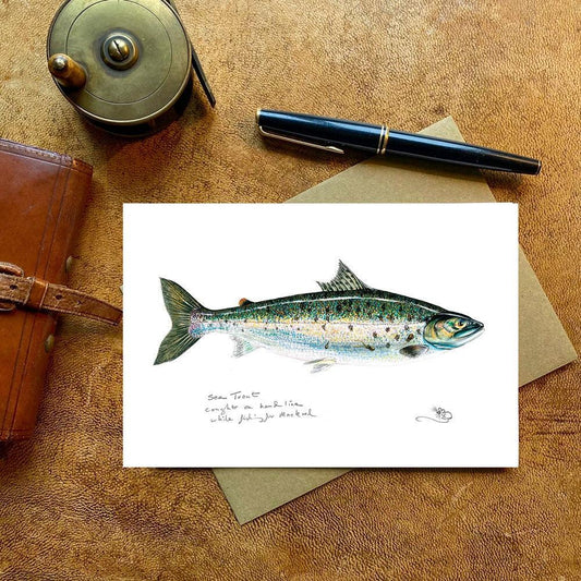 Sea Trout Card-Gamefish