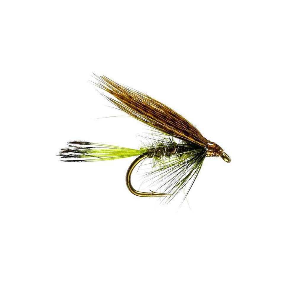 Sooty Olive-Gamefish