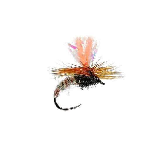 Special Sedge Klink B/L-Gamefish