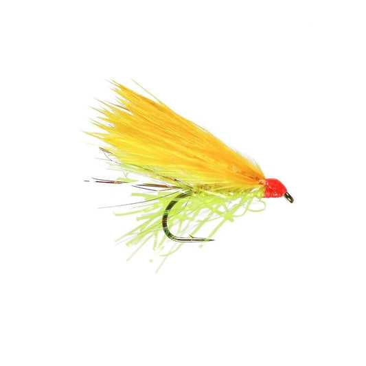 Sunburst Cat-Gamefish