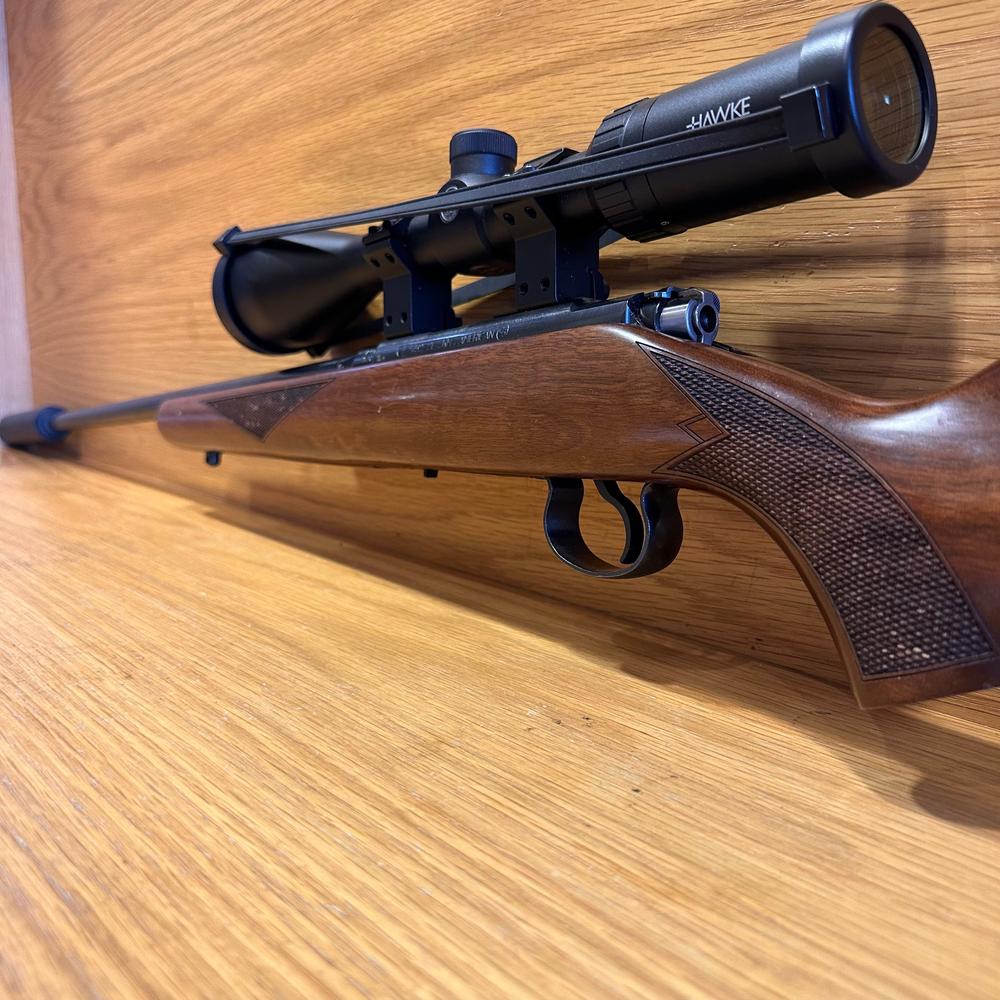The CZ 452 American in .17 HMR-Gamefish