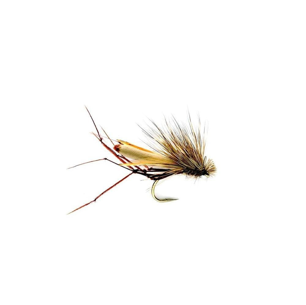 The Daddyhog-Gamefish