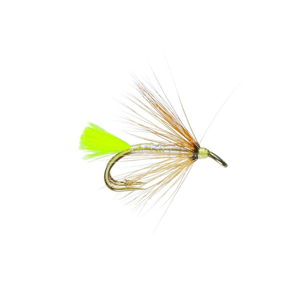 Thomas Terror St Double-Gamefish