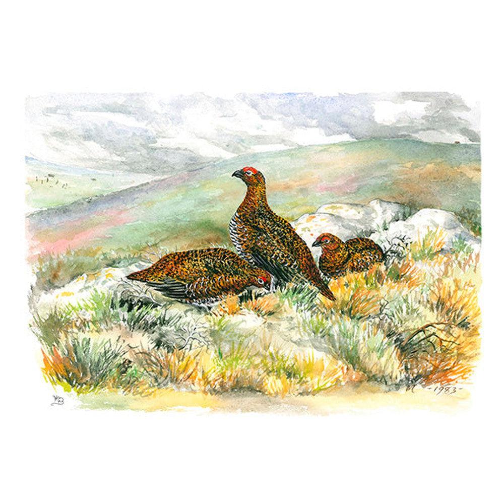 Three Red Grouse on the Moor Card-Gamefish