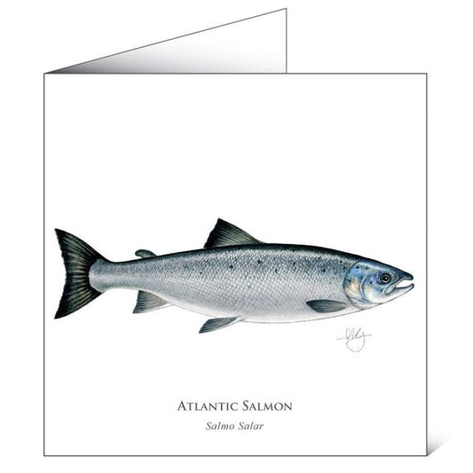 Atlantic Salmon - Greeting card-Gamefish