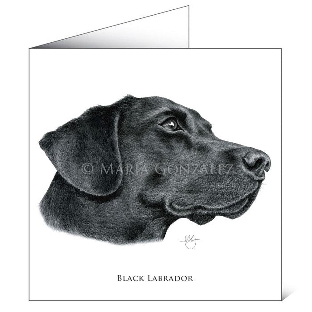 Black Labrador - Greeting card-Gamefish