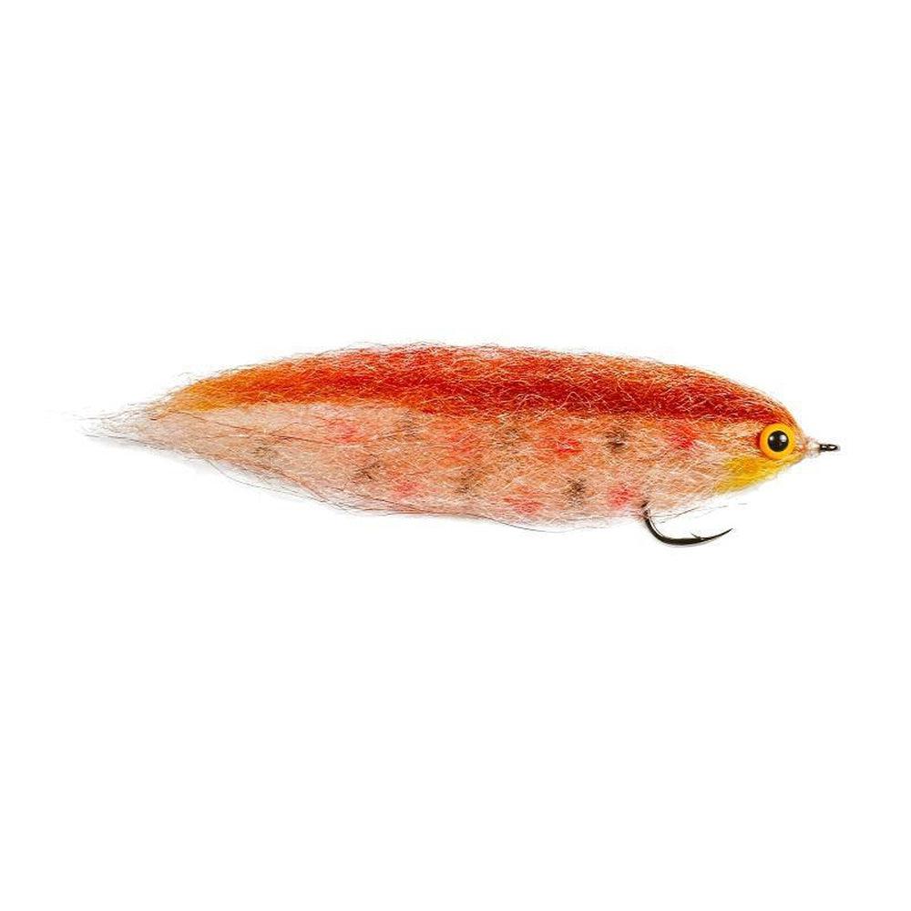 Brown Trout Single-Gamefish