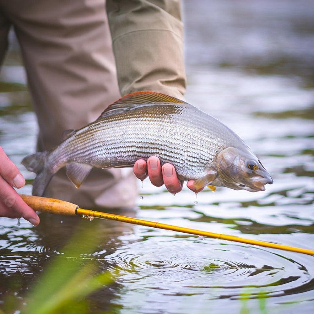 Vision HERO Fly Rod-Gamefish